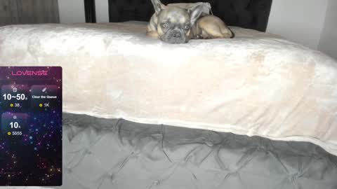 Snapshot of lilith_parker chatting on 01/22/25, 01:20 Lilith Parker online show from 01/22/25, 01:20