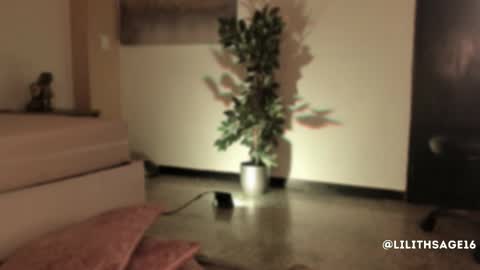 lilith_sage_ online show from 11/13/25, 11:53