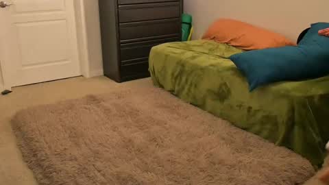 L online show from 02/14/25, 10:38