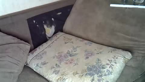 lillybae1811 online show from 06/10/26, 08:02