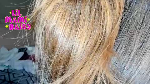 Daisy Bby online show from 03/16/26, 03:01