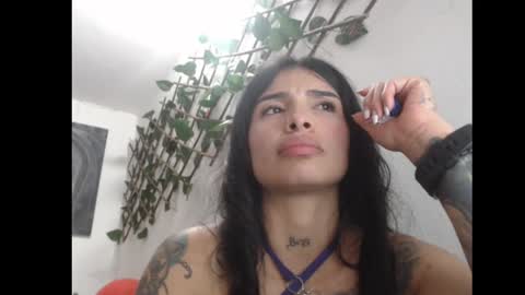 lil palacio online show from 03/08/25, 08:14