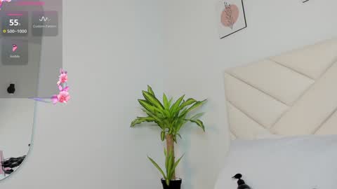   online show from 12/01/24, 07:03