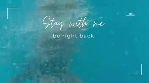 Snapshot of lily_foster_ chatting on 09/22/25, 05:42 Lily online show from 09/22/25, 05:42