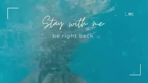 Snapshot of lily_foster_ chatting on 09/23/25, 07:00 Lily online show from 09/23/25, 07:00