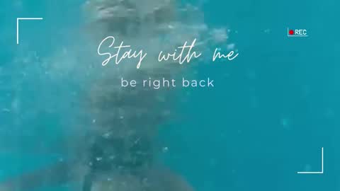 Snapshot of lily_foster_ chatting on 09/25/25, 05:33 Lily online show from 09/25/25, 05:33