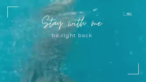 Snapshot of lily_foster_ chatting on 09/29/25, 11:48 Lily online show from 09/29/25, 11:48