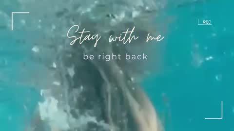 Snapshot of lily_foster_ chatting on 09/30/25, 07:02 Lily online show from 09/30/25, 07:02