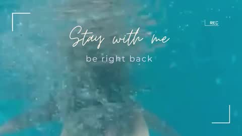 Snapshot of lily_foster_ chatting on 11/02/25, 06:27 Lily online show from 11/02/25, 06:27