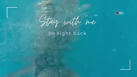 Snapshot of lily_foster_ chatting on 11/19/25, 12:27 Lily online show from 11/19/25, 12:27