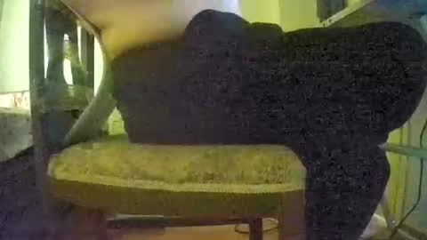 Snapshot of lilylovelyman50 chatting on 06/22/26, 12:02 lilylovelyman50 online show from 06/22/26, 12:02