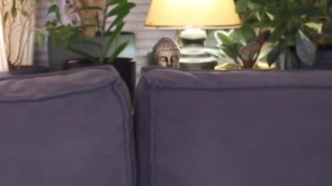 Snapshot of lilyminx chatting on 11/13/25, 03:55 -- My Wishlist online show from 11/13/25, 03:55