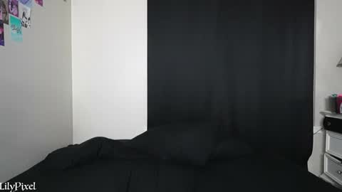 Snapshot of lilypixel chatting on 01/13/25, 02:07 Liliana Marie Pixelate online show from 01/13/25, 02:07
