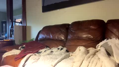 Richie Rich online show from 12/06/24, 07:23