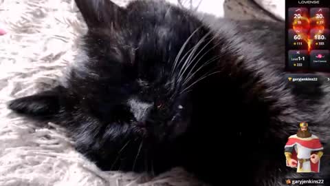 Lena online show from 04/24/26, 04:15