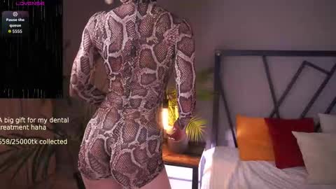 Snapshot of lindathacker chatting on 11/30/25, 04:05 your Linda is back online show from 11/30/25, 04:05