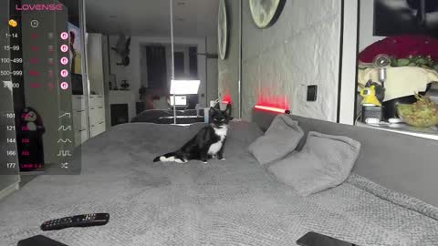 Lisa online show from 11/17/25, 02:45