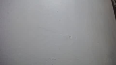 Snapshot of lisa_branch chatting on 11/29/25, 11:02 lisa_branch online show from 11/29/25, 11:02