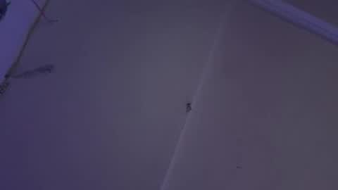 cristin online show from 12/25/24, 11:00