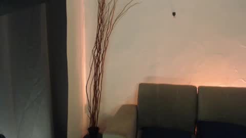  Liss  online show from 01/15/25, 08:30