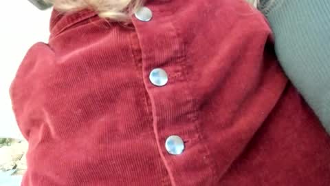 Lissa online show from 10/30/25, 05:24