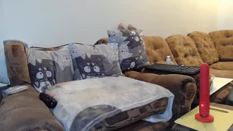 Snapshot of litisialove455 chatting on 01/31/25, 09:27 litisialove455 online show from 01/31/25, 09:27