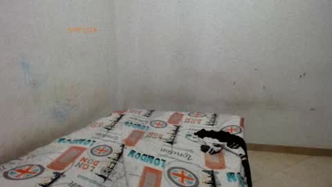 Snapshot of little__scarlet chatting on 05/29/26, 02:37 little__scarlet online show from 05/29/26, 02:37