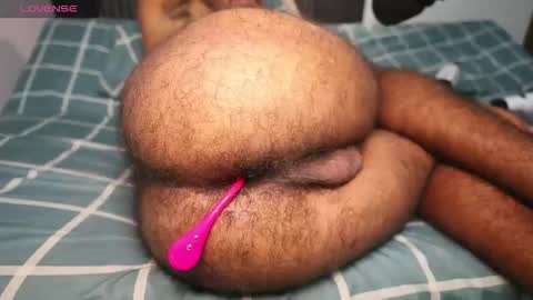 Little bear - give my room a like thanks. online show from 04/23/26, 02:57