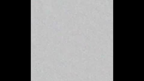 Adaline online show from 11/09/25, 07:01