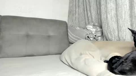 my Instagram  online show from 02/21/26, 06:09