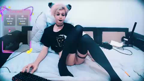 Snapshot of littlepinkcat chatting on 06/20/26, 11:18 Felix online show from 06/20/26, 11:18