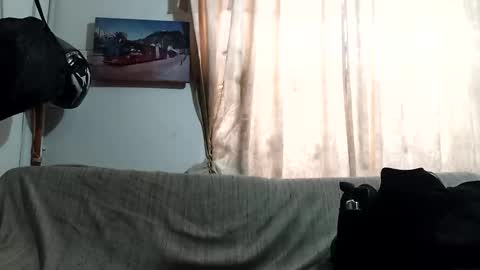 Snapshot of littlepornstars chatting on 02/20/26, 04:07 Kruger and girls online show from 02/20/26, 04:07