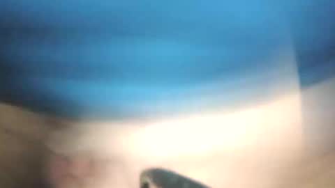 littlestick online show from 01/12/26, 08:41