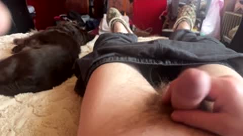 Little Tj online show from 02/24/26, 05:33