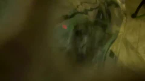 Little Tj online show from 04/23/26, 04:03