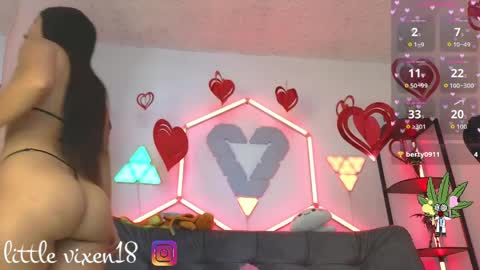 littlevixen18 online show from 04/06/26, 02:40