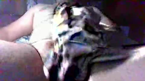 Snapshot of litwinpaweel chatting on 10/28/25, 08:22 litwinpaweel online show from 10/28/25, 08:22