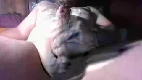 Snapshot of litwinpaweel chatting on 12/02/25, 08:26 litwinpaweel online show from 12/02/25, 08:26