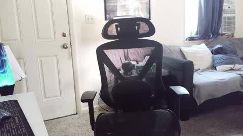 LongDick Daddy online show from 01/05/26, 06:22