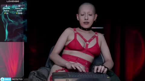 Lynx Mist online show from 12/14/24, 03:18