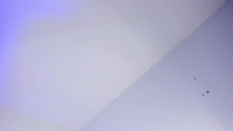 Snapshot of logan_west1 chatting on 10/16/25, 08:04 Logan online show from 10/16/25, 08:04