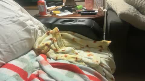 Snapshot of logical12345 chatting on 12/01/25, 03:22 logical12345 online show from 12/01/25, 03:22