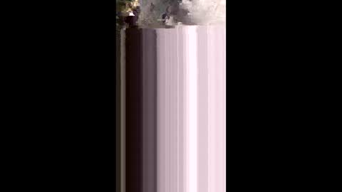 lola_costa2 online show from 06/08/26, 04:13