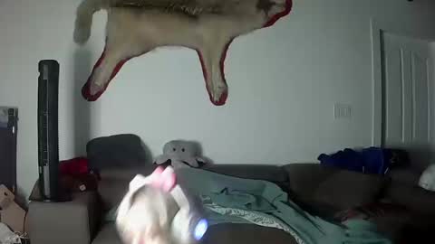 Lola Lixx online show from 10/17/25, 09:56