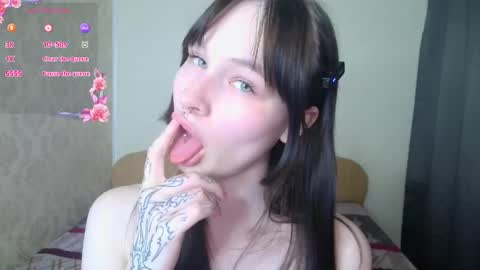 Snapshot of lolavibe6 chatting on 05/31/26, 08:43 Lola online show from 05/31/26, 08:43