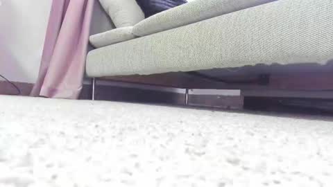 Snapshot of lollavibes chatting on 11/04/25, 05:50 Lolla online show from 11/04/25, 05:50