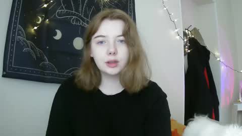 Snapshot of lollylol11 chatting on 02/15/25, 12:43 Lilly online show from 02/15/25, 12:43