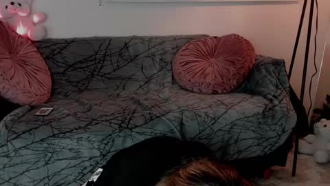 Lolly online show from 02/24/26, 05:16