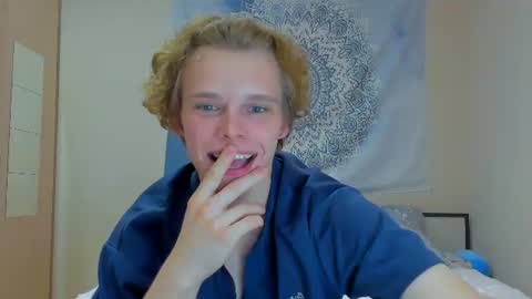 Snapshot of lolnoillimsary chatting on 07/12/26, 08:33 Nelis online show from 07/12/26, 08:33