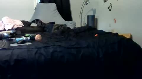 Snapshot of lonelydick2222 chatting on 05/25/26, 01:28 lonelydick2222 online show from 05/25/26, 01:28
